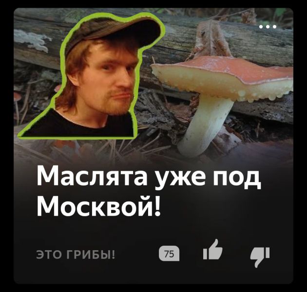 Файл:Maslochesation-zaraza.jpg