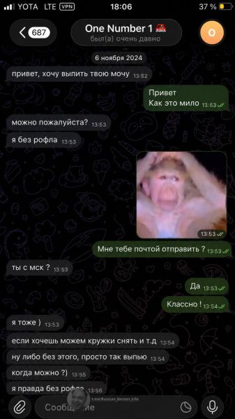 Файл:Лог с жирадой 1.jpg