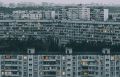 Человейники